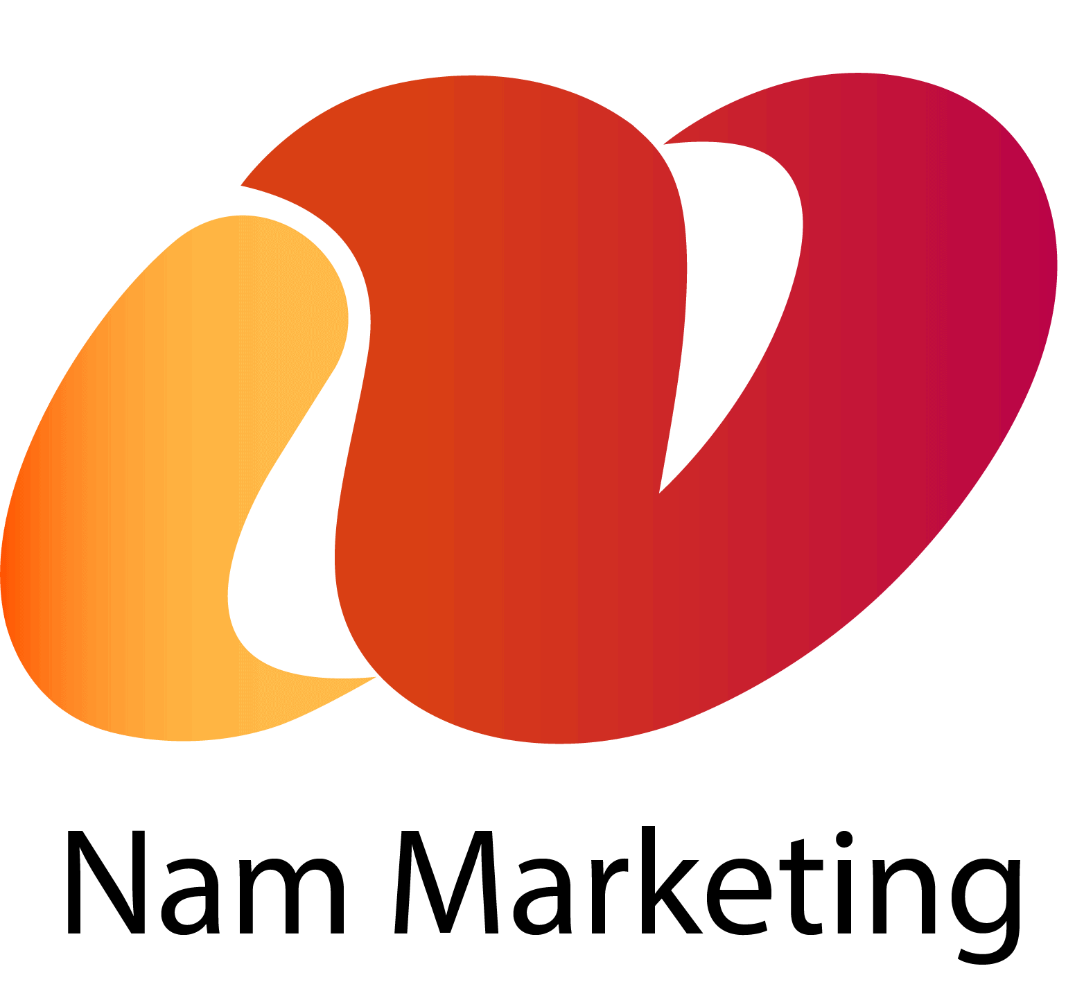 Logo Đường Văn Nam Marketing dịch vụ SEO